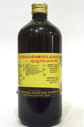 PUSHKARAMOOLASAVA-0