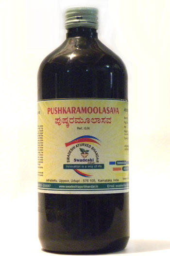 PUSHKARAMOOLASAVA-0