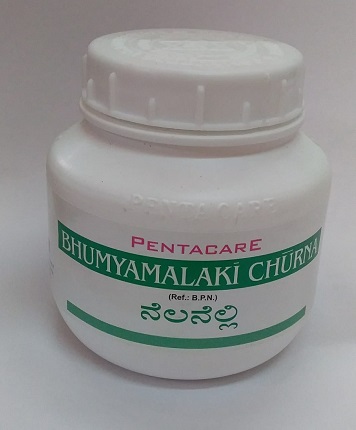 BHOOMI AMALAKI CHURNA