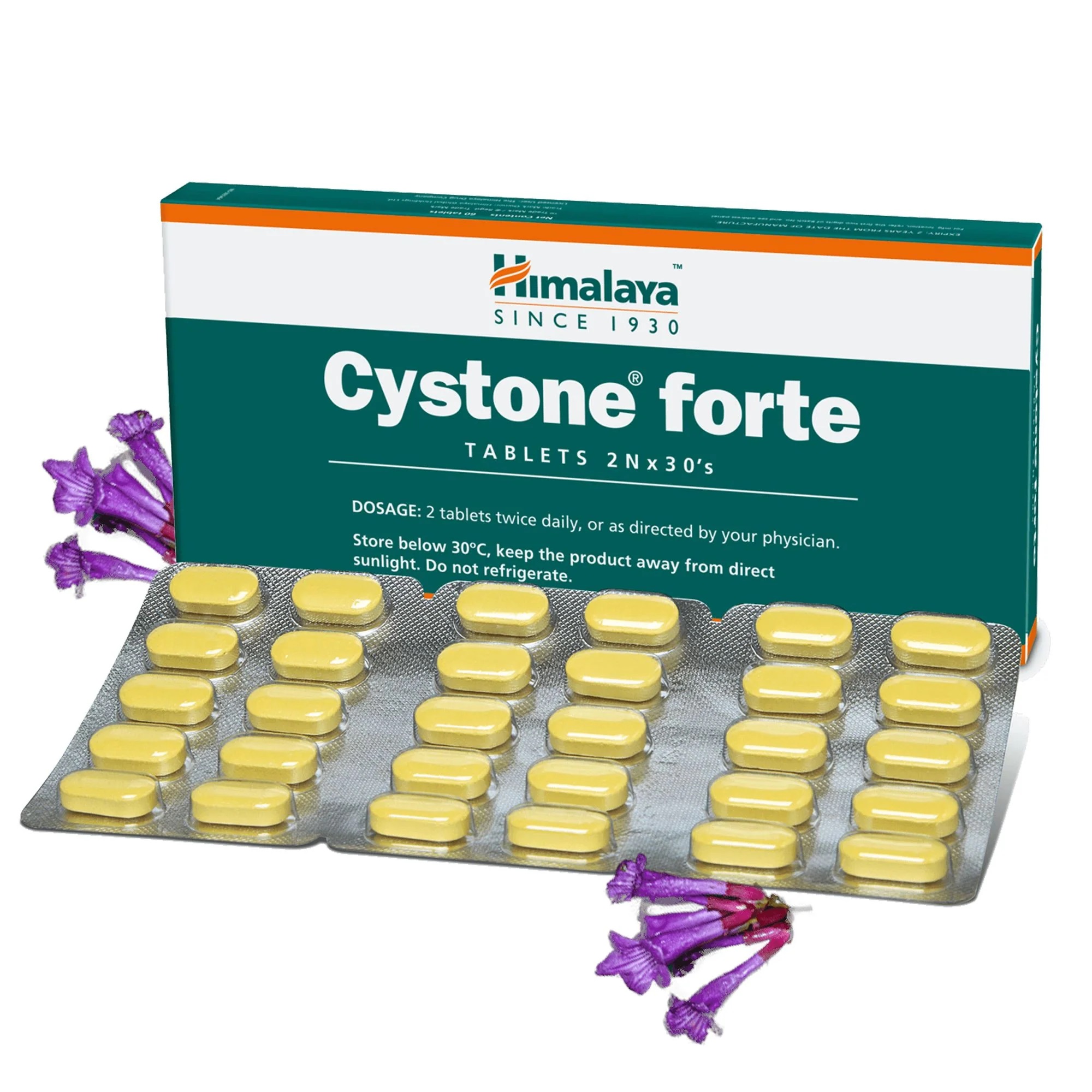 CYSTONE FORTE TABLET